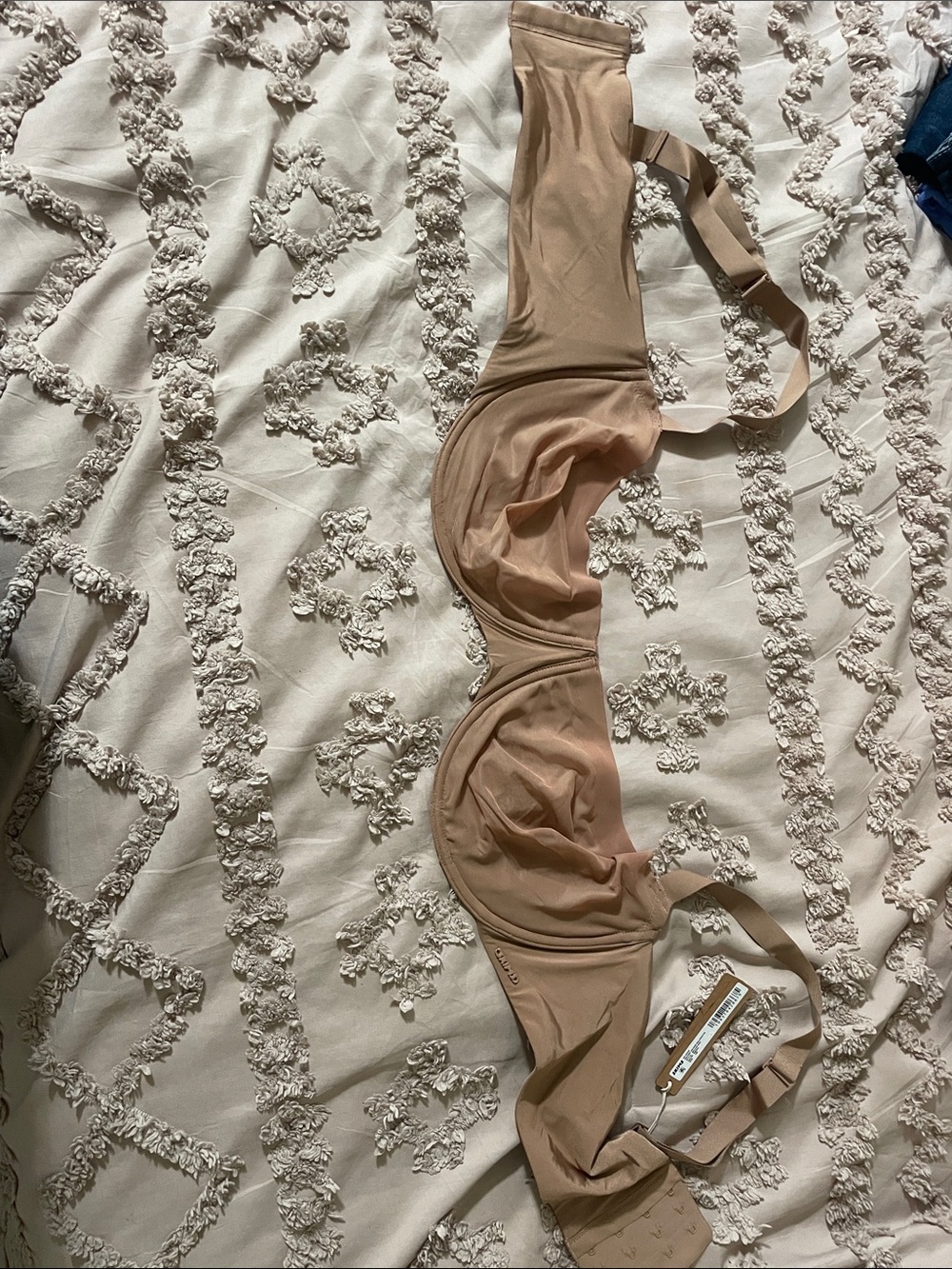 SKIMS Sheer Nude Mesh Underwire Bra